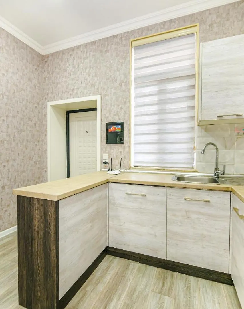 Luxury Apartment In Targovu Baku